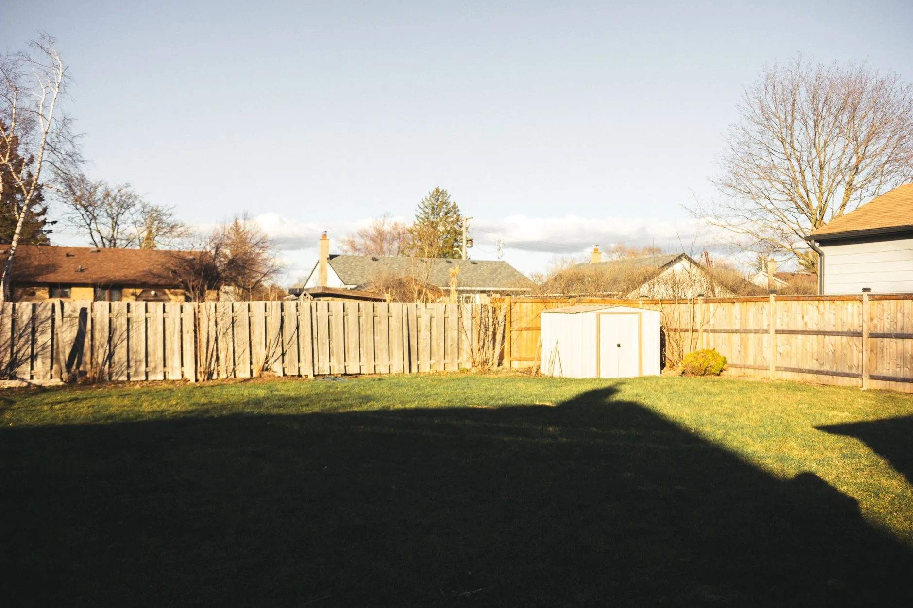 Wood privacy fence along a residential backyard